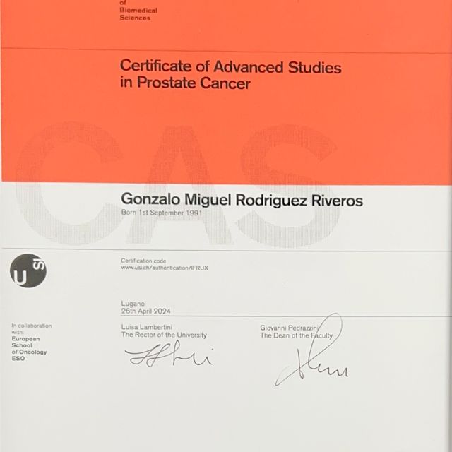 Ampliar imagen: certificate 5