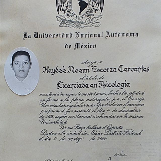 Ampliar imagen: certificate 2