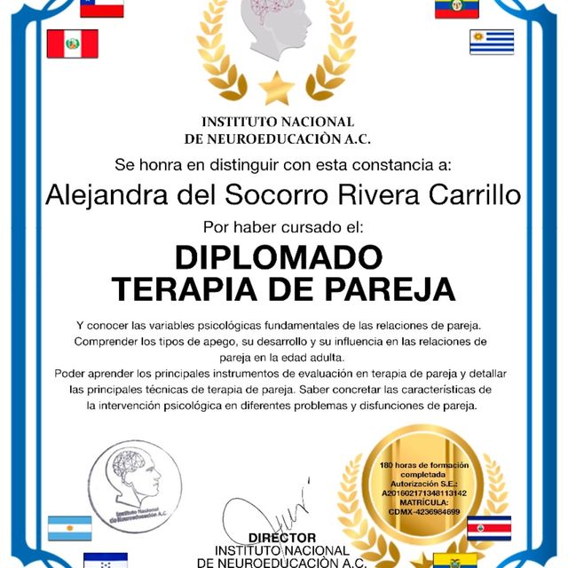 Ampliar imagen: certificate 2