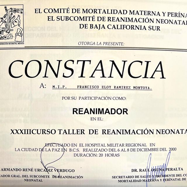 Ampliar imagen: certificate 5
