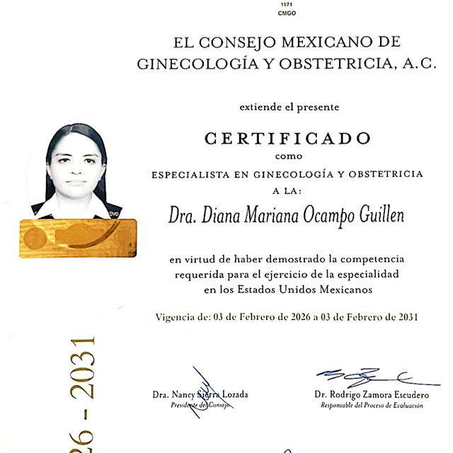 Ampliar imagen: certificate 1