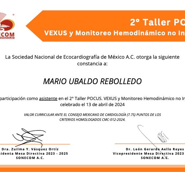 Ampliar imagen: certificate 3