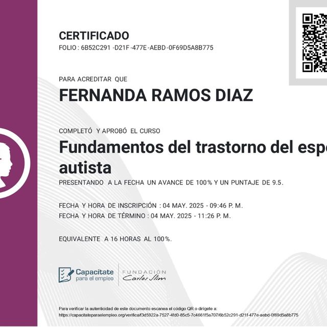 Ampliar imagen: certificate 2