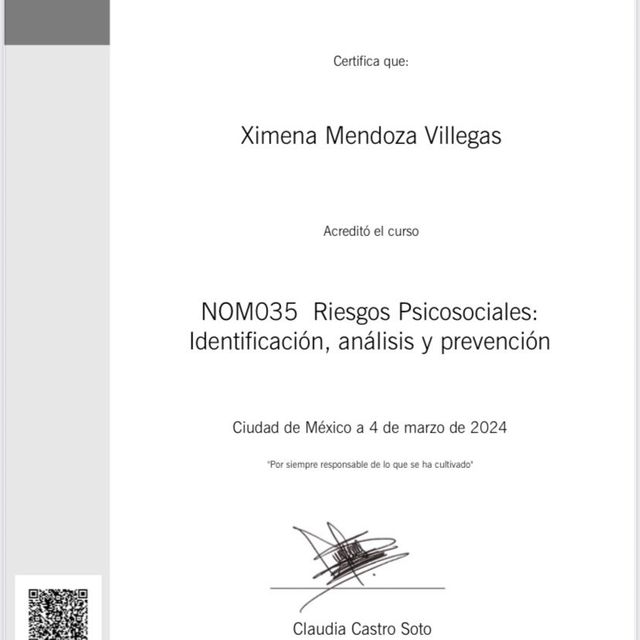 Ampliar imagen: certificate 3