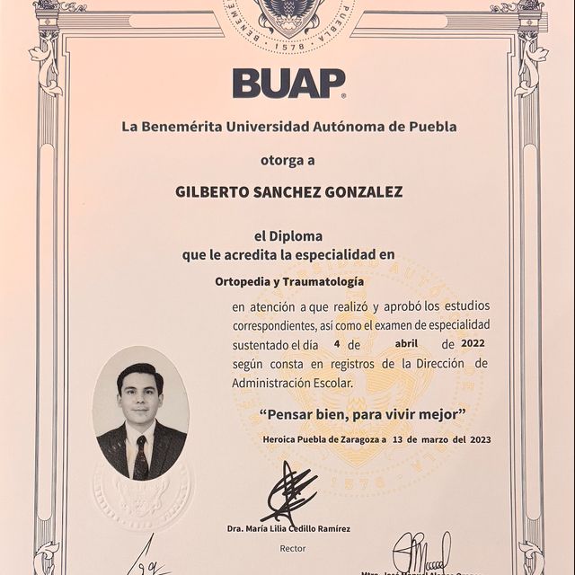 Ampliar imagen: certificate 2