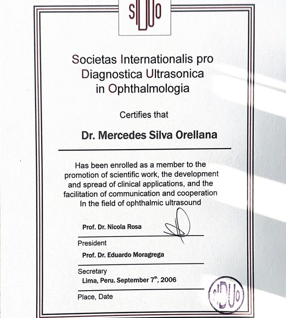 Ampliar imagen: certificate 3