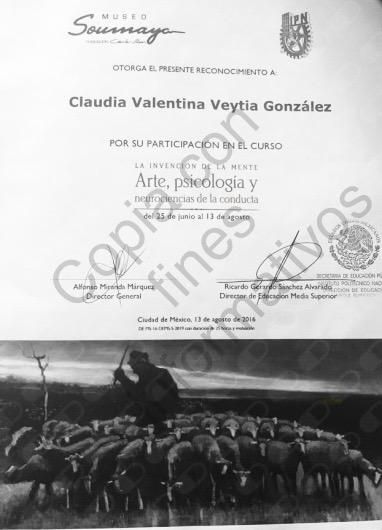 Ampliar imagen: certificate 4