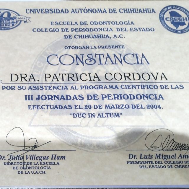 Ampliar imagen: certificate 9