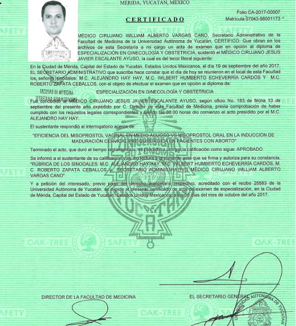 Ampliar imagen: certificate 1