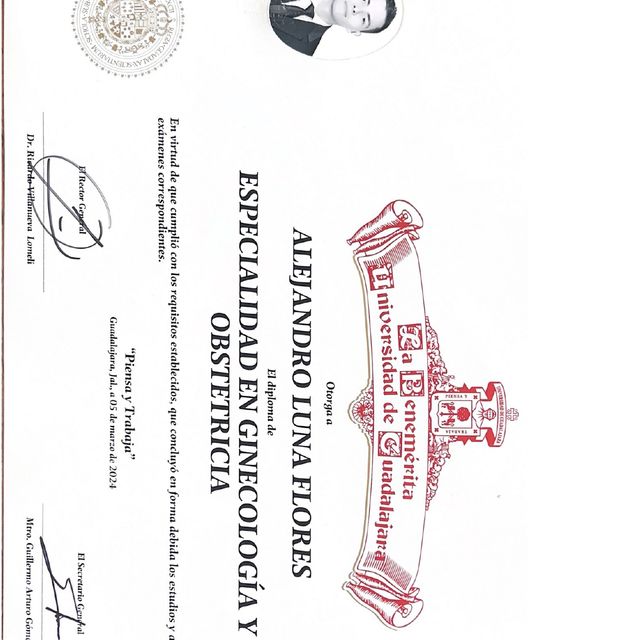 Ampliar imagen: certificate 2