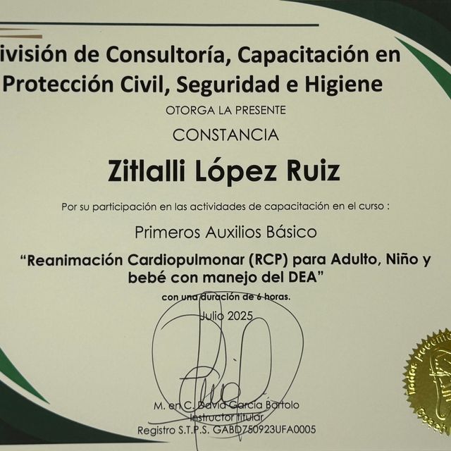 Ampliar imagen: certificate 4