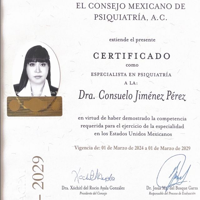 Ampliar imagen: certificate 5