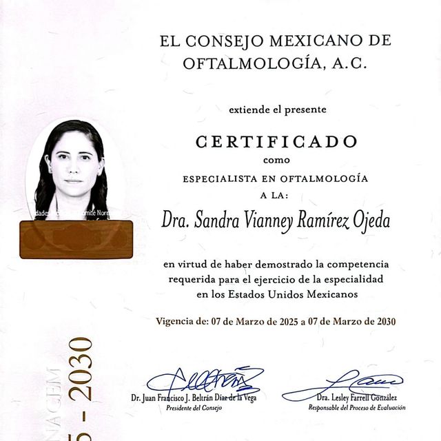 Ampliar imagen: certificate 2