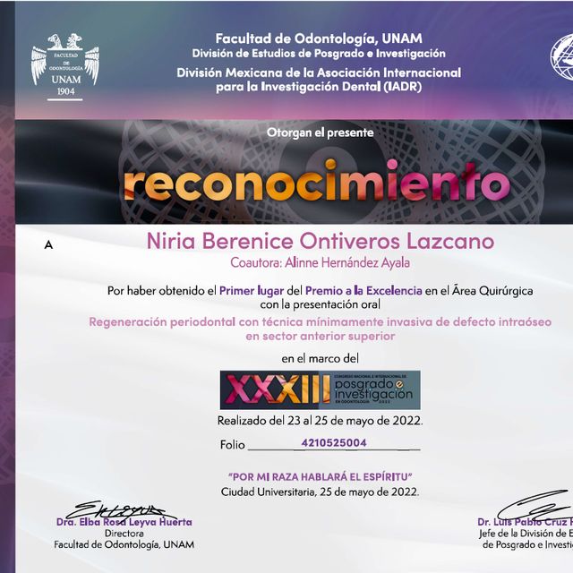 Ampliar imagen: certificate 1
