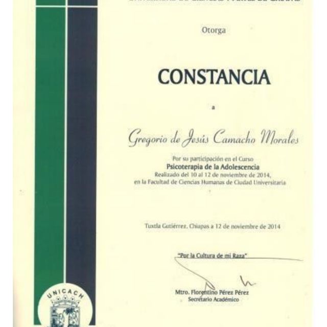 Ampliar imagen: certificate 7