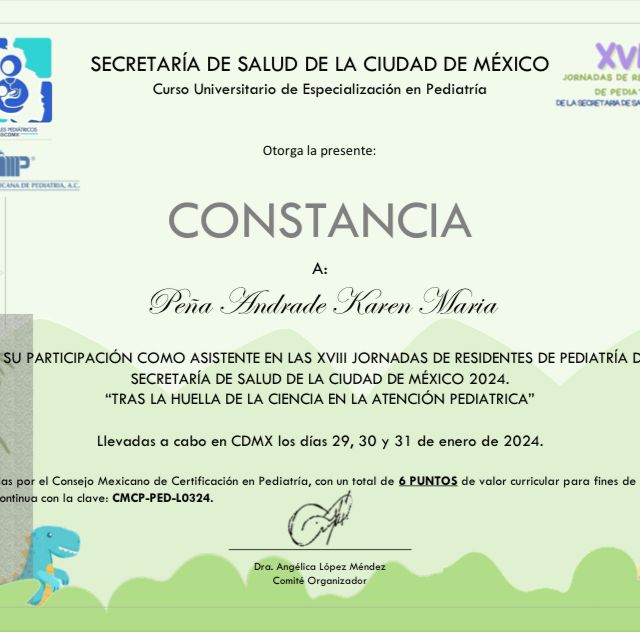Ampliar imagen: certificate 8