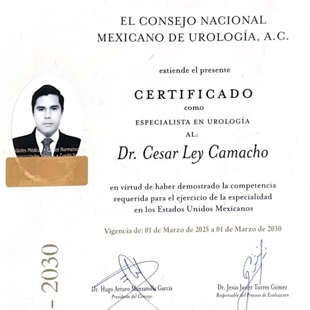 Ampliar imagen: certificate 3
