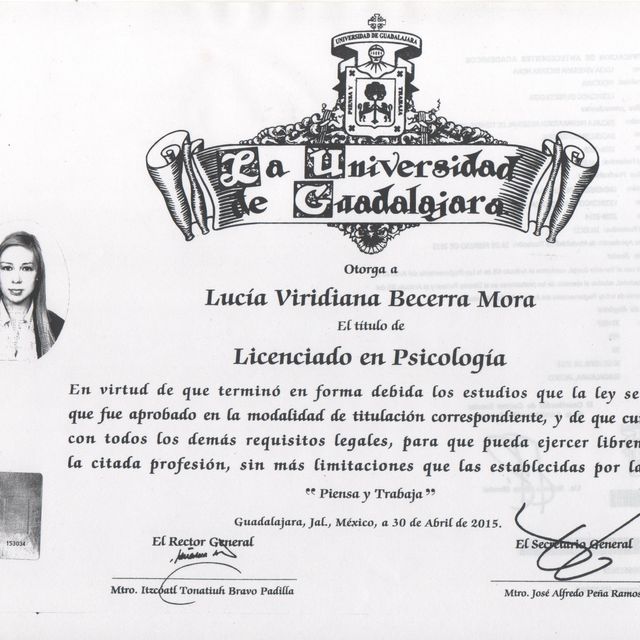 Ampliar imagen: certificate 2
