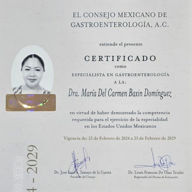 Ampliar imagen: certificate 3