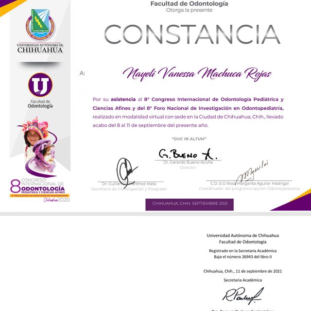 Ampliar imagen: certificate 11