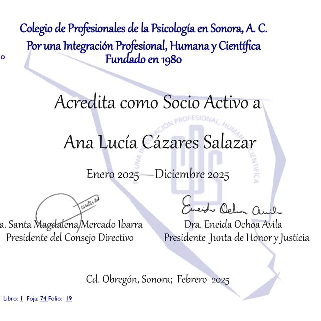 Ampliar imagen: certificate 3