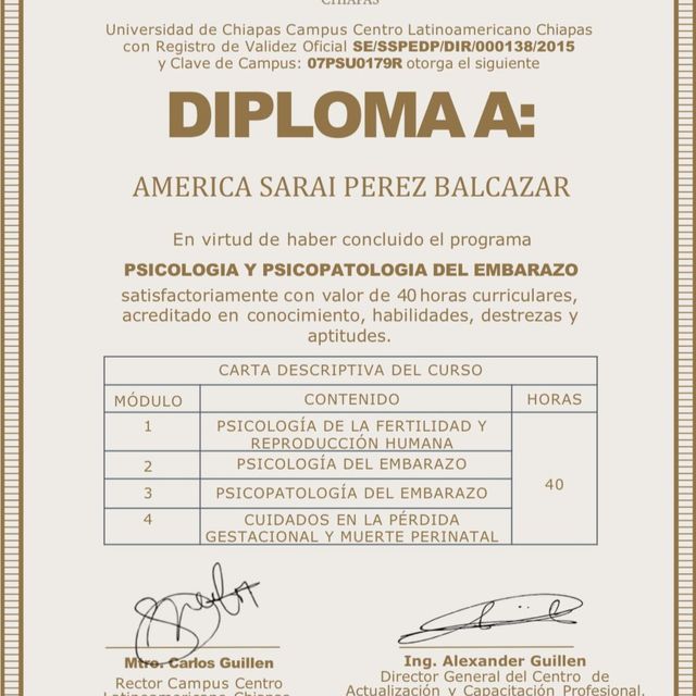 Ampliar imagen: certificate 25