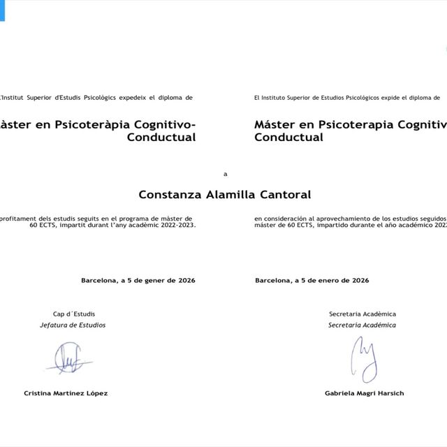 Ampliar imagen: certificate 3