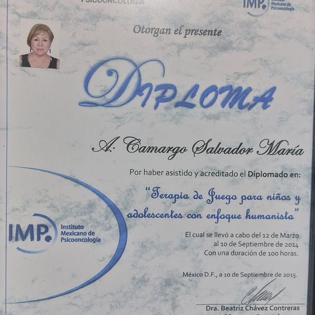 Ampliar imagen: certificate 17