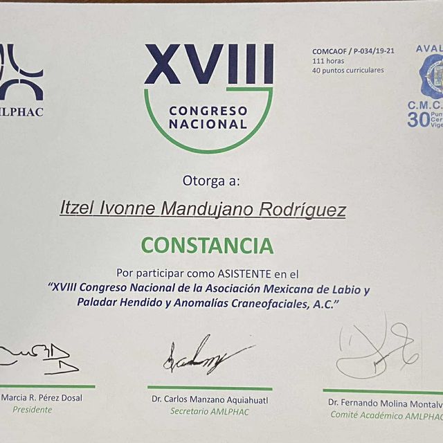Ampliar imagen: certificate 4