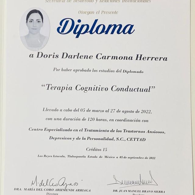 Ampliar imagen: certificate 2