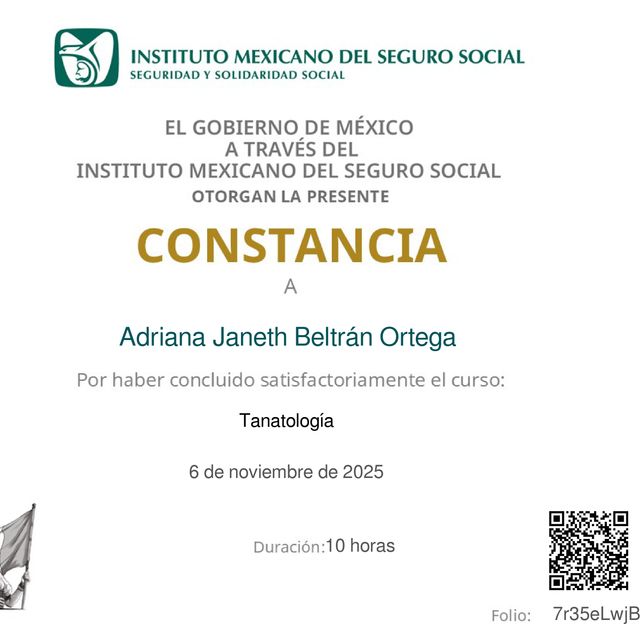 Ampliar imagen: certificate 3