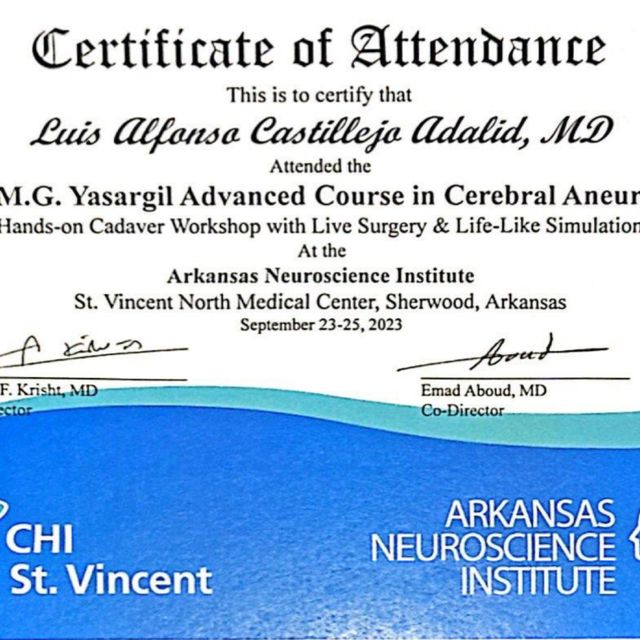 Ampliar imagen: certificate 2