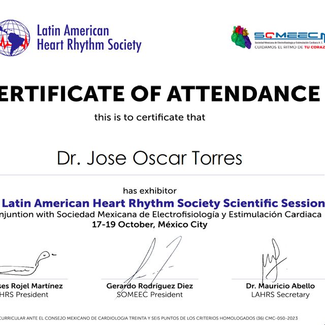 Ampliar imagen: certificate 3