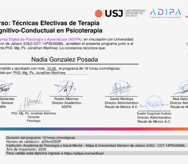 Ampliar imagen: certificate 4