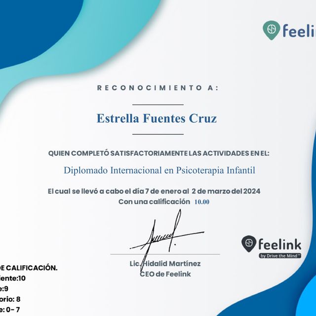 Ampliar imagen: certificate 10