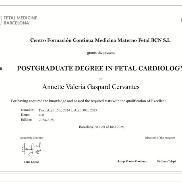 Ampliar imagen: certificate 5