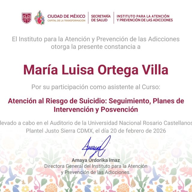 Ampliar imagen: certificate 6