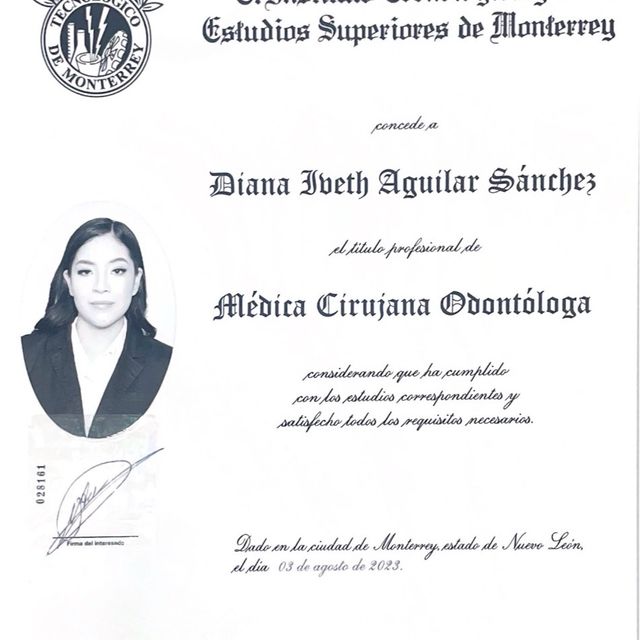 Ampliar imagen: certificate 6