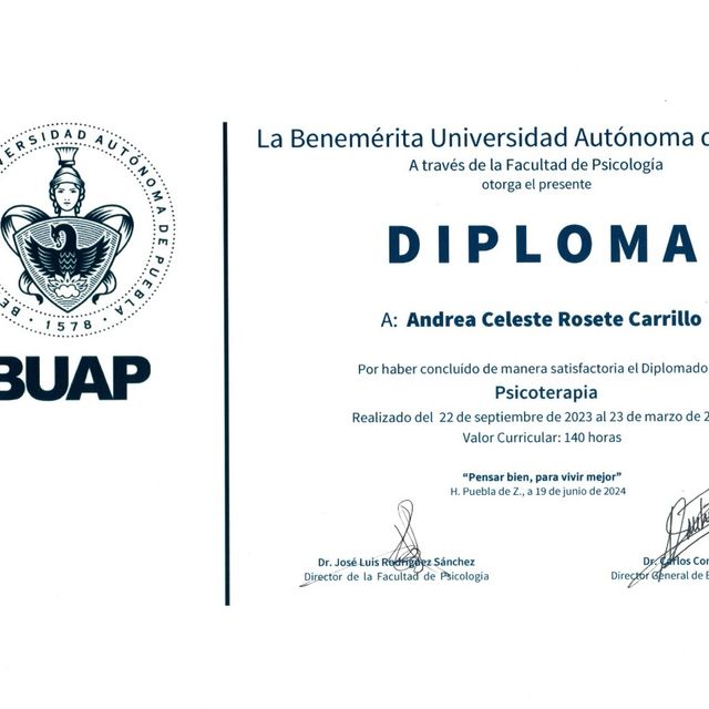 Ampliar imagen: certificate 2
