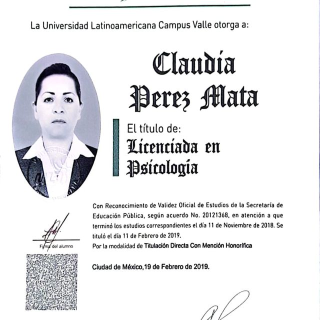 Ampliar imagen: certificate 6