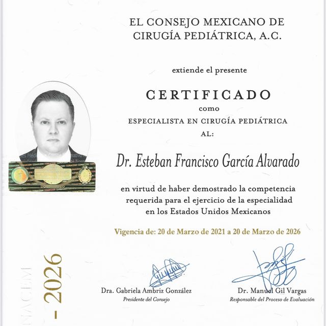 Ampliar imagen: certificate 1