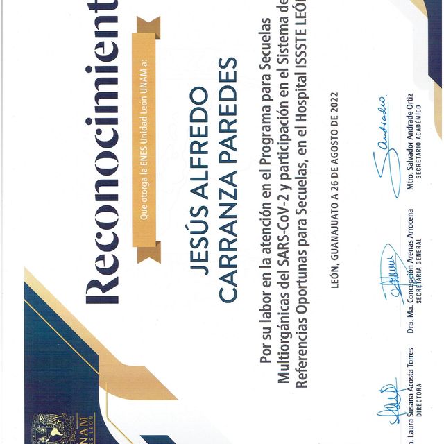 Ampliar imagen: certificate 5