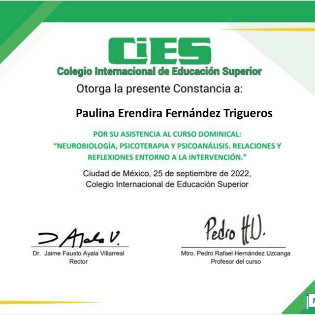 Ampliar imagen: certificate 9