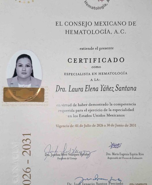 Ampliar imagen: certificate 27