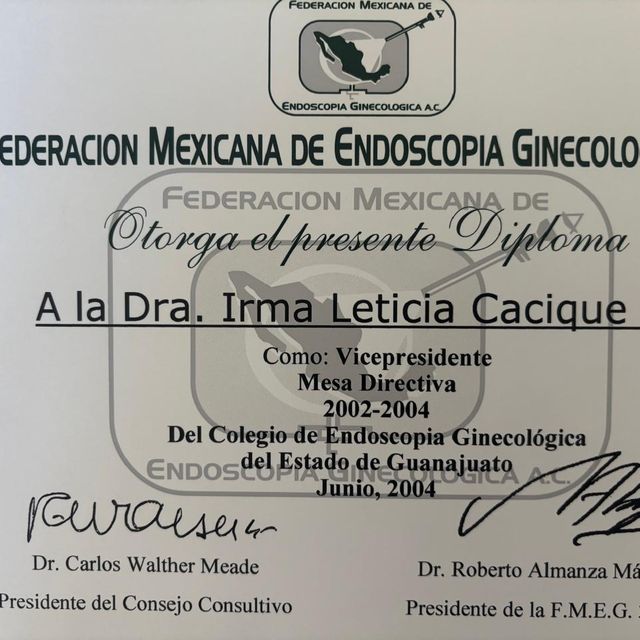 Ampliar imagen: certificate 1