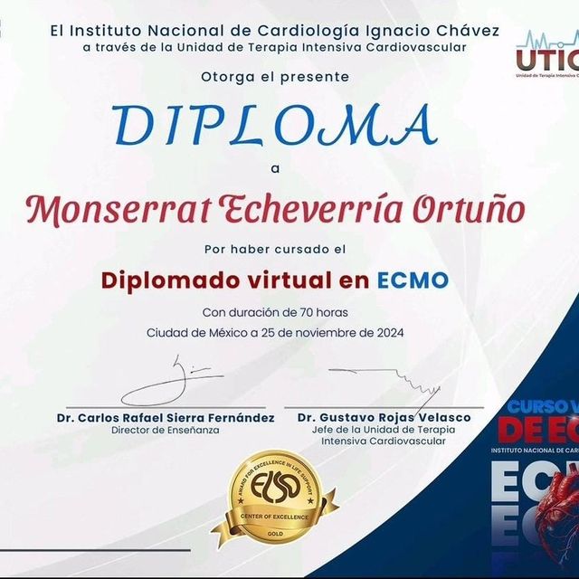 Ampliar imagen: certificate 3