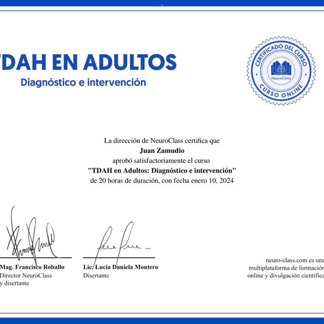 Ampliar imagen: certificate 11