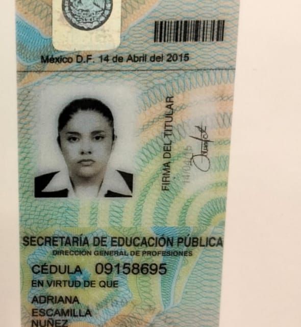 Ampliar imagen: certificate 3