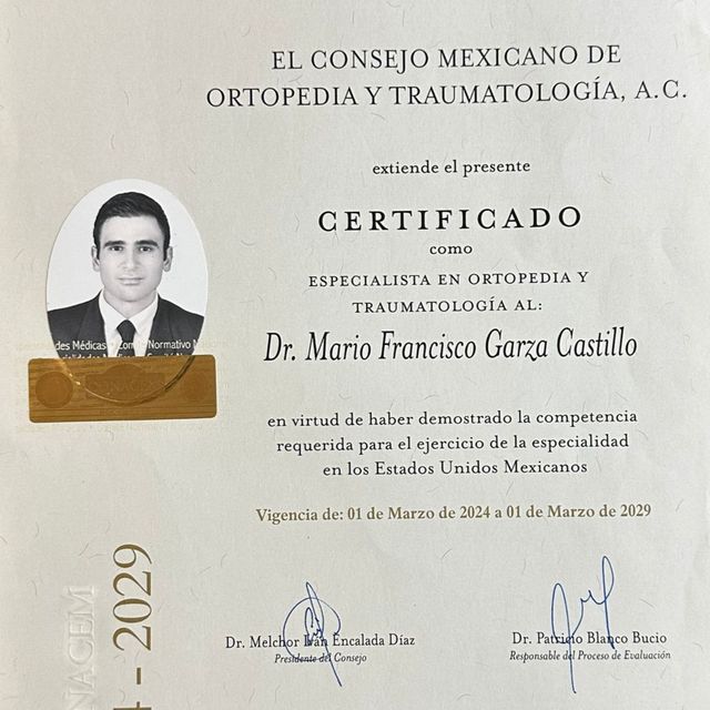 Ampliar imagen: certificate 3