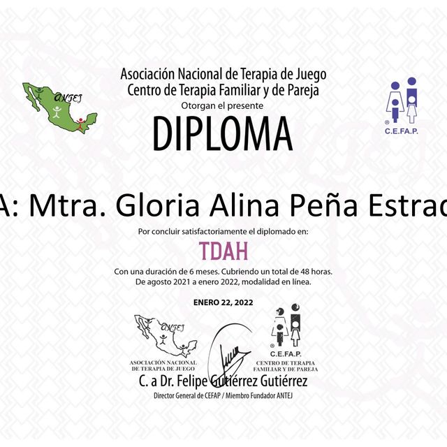 Ampliar imagen: certificate 36